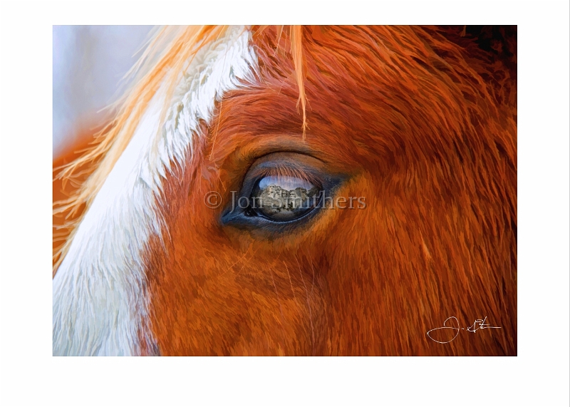 013009_8346-TS  Mount Rushmoore Horse's Eye.jpg
